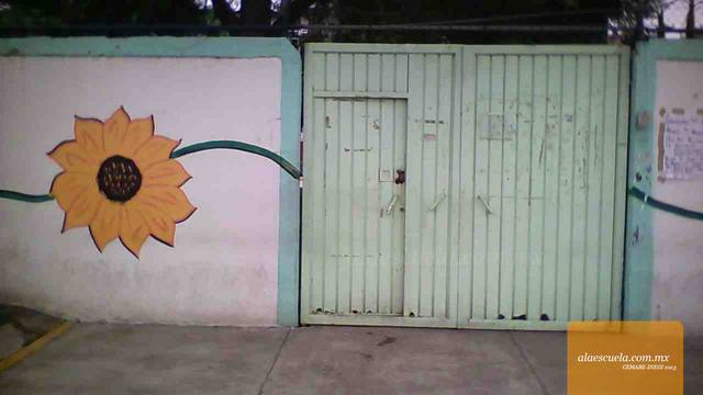 Entrada (vista previa)