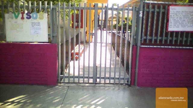 Entrada (vista previa)