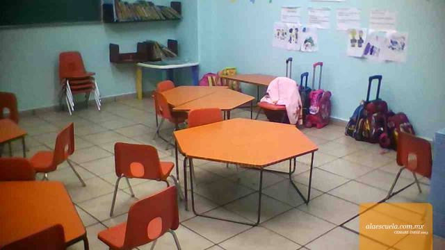 Entrada (vista previa)