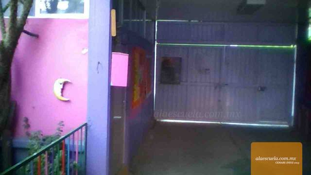 Entrada (vista previa)