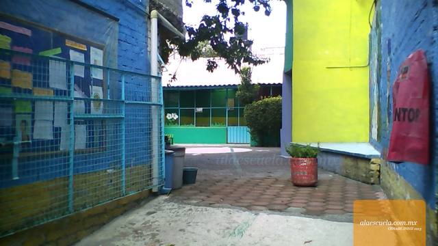 Entrada (vista previa)