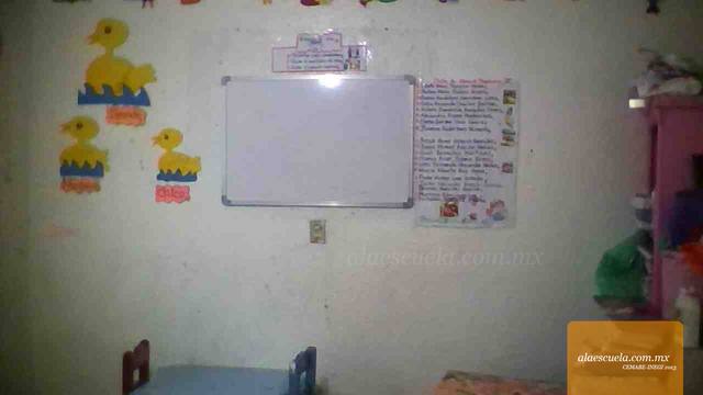 Entrada (vista previa)