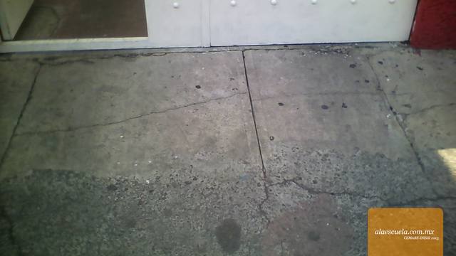 Entrada (vista previa)