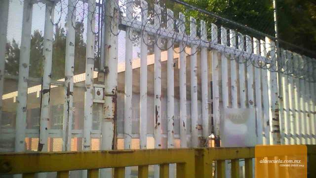 Entrada (vista previa)