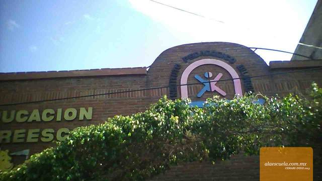 Entrada (vista previa)