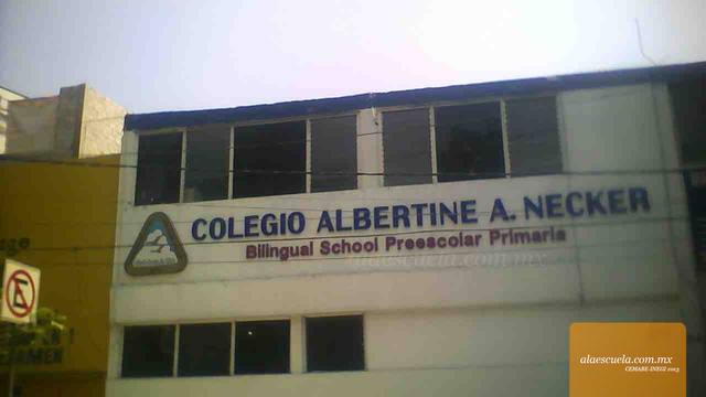 Entrada (vista previa)