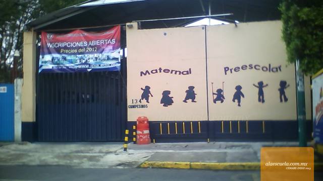 Entrada (vista previa)