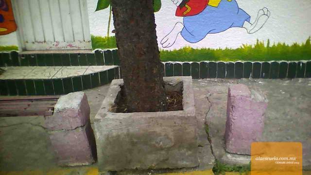 Entrada (vista previa)