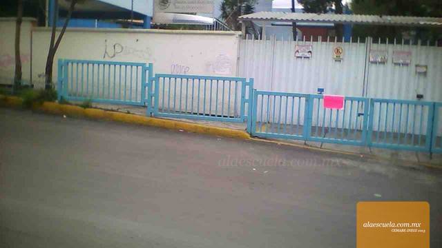 Entrada (vista previa)