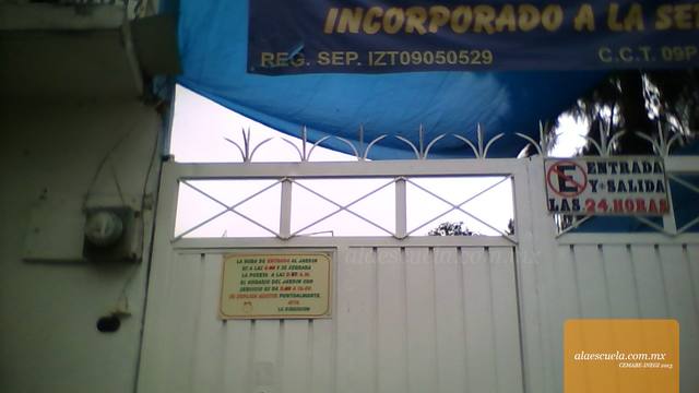 Entrada (vista previa)