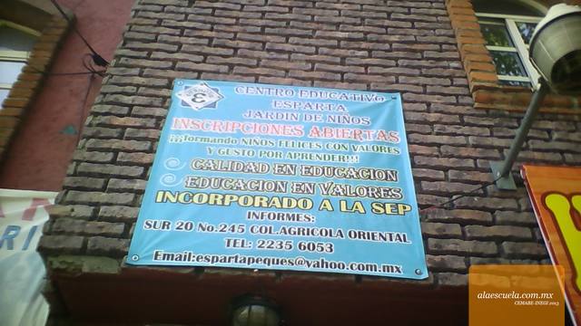 Entrada (vista previa)