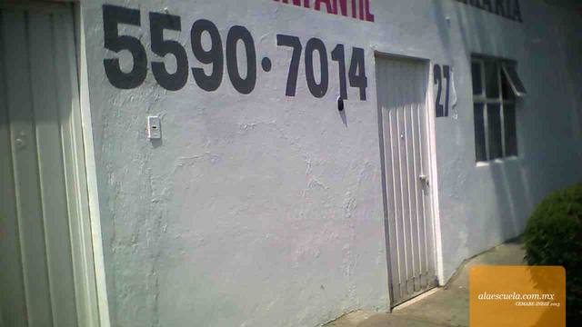 Entrada (vista previa)