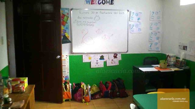 Entrada (vista previa)