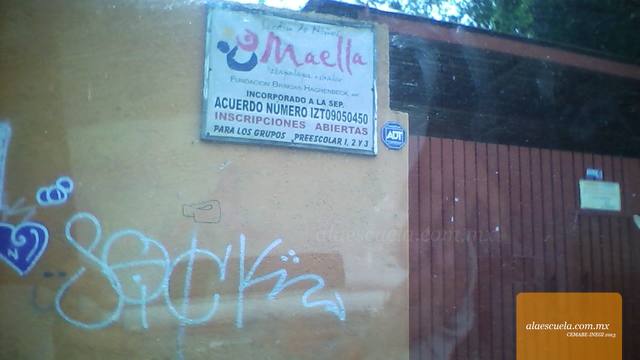 Entrada (vista previa)