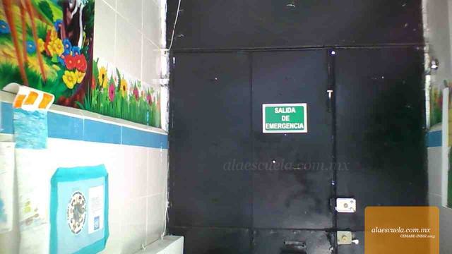 Entrada (vista previa)