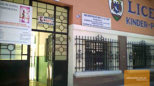 Entrada (vista previa)