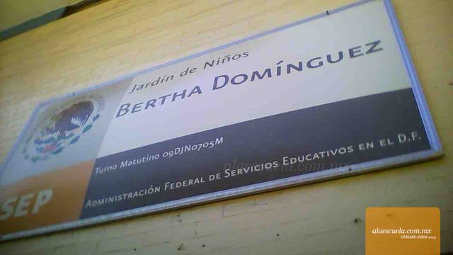 Entrada (vista previa)