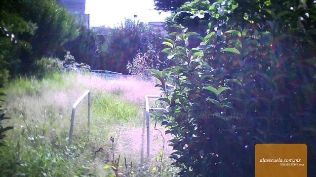 Áreas (vista previa)