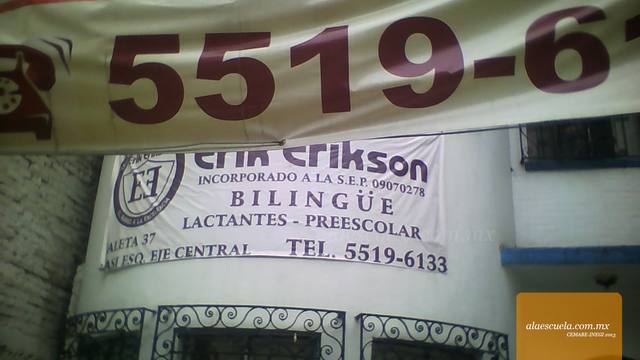 Entrada (vista previa)