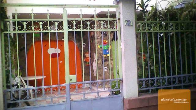 Entrada (vista previa)