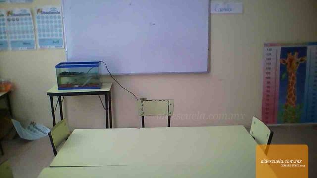 Aulas (vista previa)