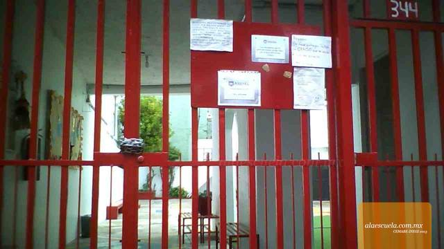 Entrada (vista previa)