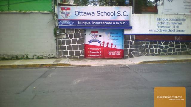 Entrada (vista previa)