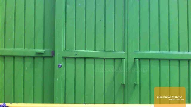 Entrada (vista previa)