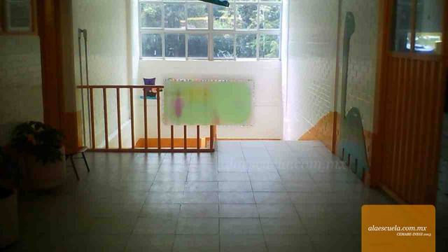Entrada (vista previa)