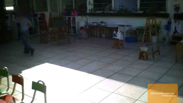 Áreas (vista previa)