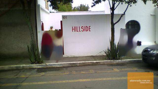 Entrada (vista previa)