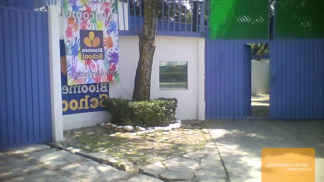 Entrada (vista previa)