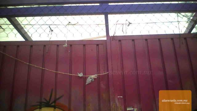 Entrada (vista previa)