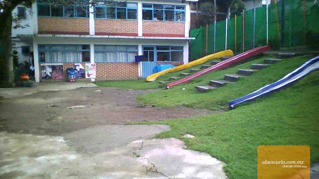 Entrada (vista previa)