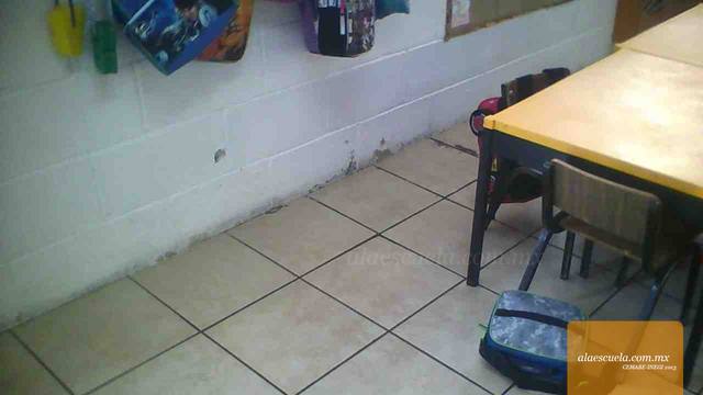 Aulas (vista previa)