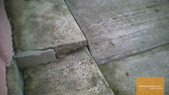 Áreas (vista previa)