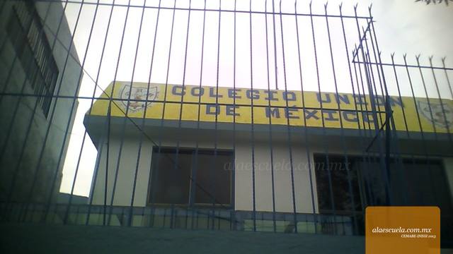 Entrada (vista previa)