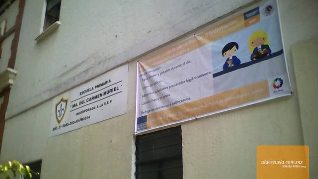 Entrada (vista previa)