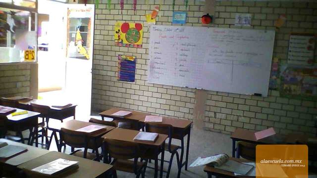 Entrada (vista previa)