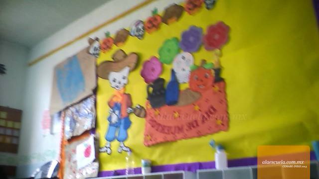 Aulas (vista previa)