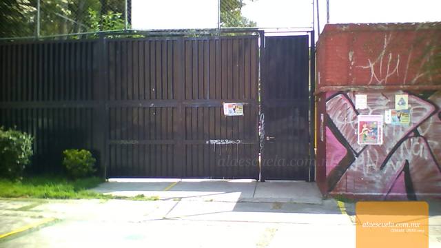 Entrada (vista previa)