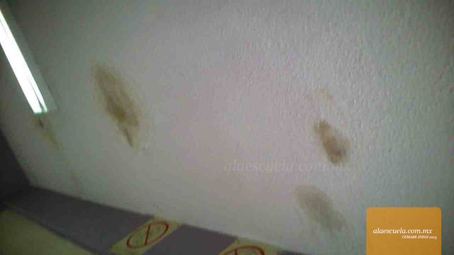 Aulas (vista previa)