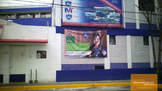 Entrada (vista previa)