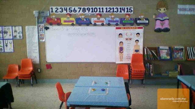 Entrada (vista previa)