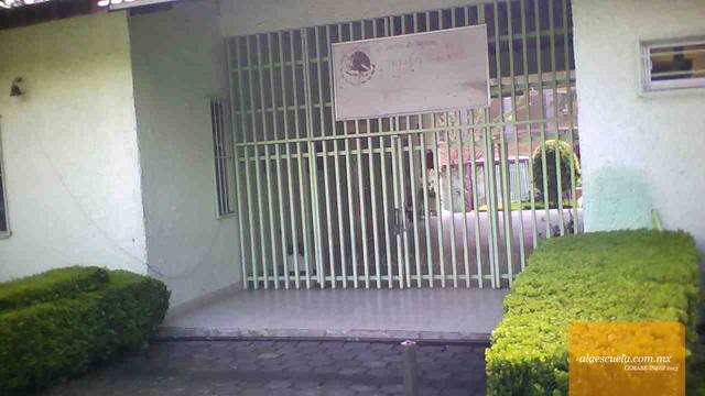 Entrada (vista previa)