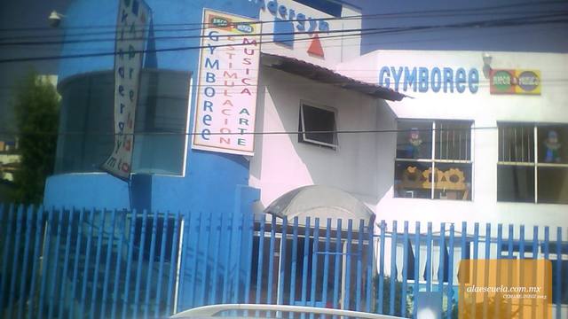 Entrada (vista previa)