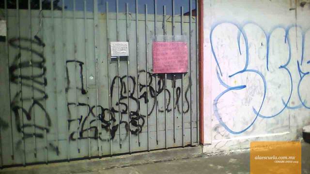 Entrada (vista previa)