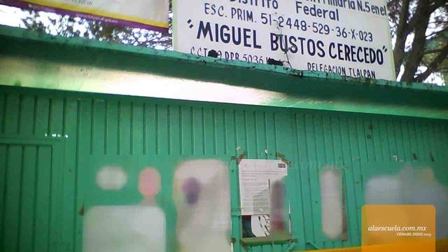 Entrada (vista previa)