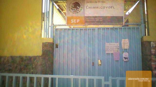 Entrada (vista previa)