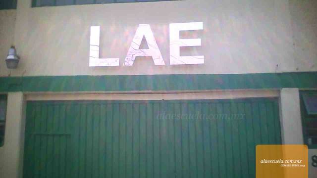 Entrada (vista previa)